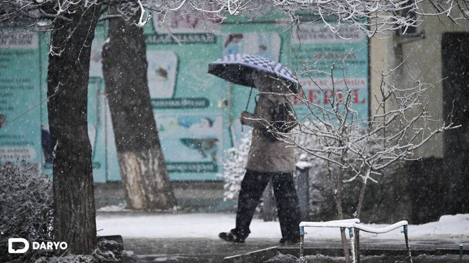 Ўзбекистонда кейинги ҳафтада об-ҳаво ўзгарувчан бўлади, айрим ҳудудларда қор ёғади